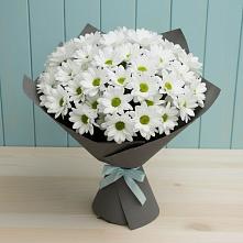 Букет цветов из:  Хризантемы #REPLACE_PRED# Воргашоре